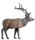 RINEHART 3D ELK STANDING