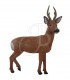 RINEHART 3D ROE DEER