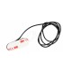 WILD M. CLICKER ALLENAMENTO