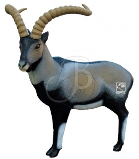 SRT 3D TIER IBERISCHER STEINBOCK