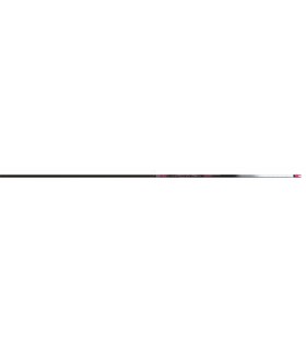 EASTON ASTA CARBON ION                 PK 500