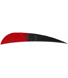 GATEWAY FEATHERS HB KURO4"PAR.100ST RD