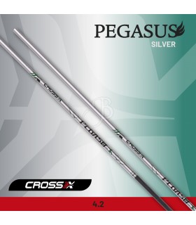 CROSS-X ASTA PEGASUS SILVER