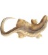 ELEVEN 3D CIBLE VARAN