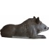 ELEVEN 3D TARGET BEDDED BOAR