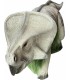 ELEVEN 3D TIER PROTOCERATOPS