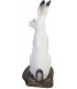 SRT 3D CIBLE LAPIN DES NEIGE