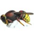 SRT 3D CIBLE FRELON