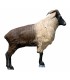 SRT 3D TARGET HIMALAYAN TAHR
