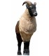 SRT 3D TARGET HIMALAYAN TAHR