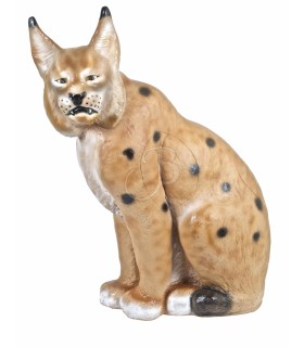 C. POINT CIBLE 3D LYNX ASSIS