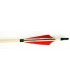 BIG TRADITION ARROW CLASSIC