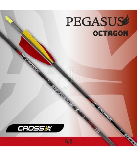 CROSS-X FLECHE PEGASUS OCTAGON NAT.