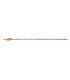 CROSS-X FRECCIA PHOENIX NATURAL
