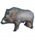 C. POINT 3D TARGET MALE WILDBOAR