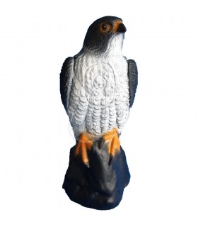C.POINT SAGOMA 3D FALCO