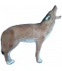 C. POINT 3D TARGET COYOTE
