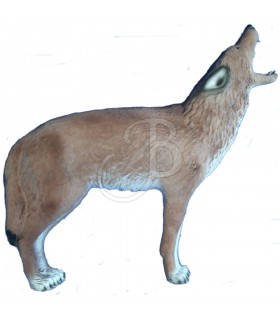 C. POINT CIBLE 3D COYOTE