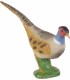 C. POINT 3D TARGET PHEASANT