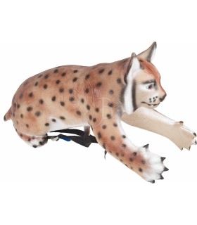 C. POINT 3D TARGET SITTING CLIMBING