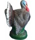 C. POINT 3D TARGET TURKEY