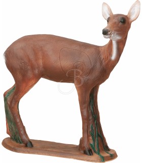 C. POINT 3D TARGET REHBOCK