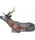 ELEVEN 3D TARGET BEDDED STAG