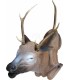ELEVEN 3D TARGET BEDDED STAG