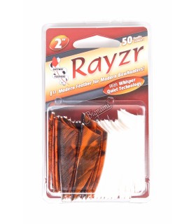 GATEWAY PENNE NATURALI RAYZR 2"TREB.