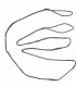 BIG TRADITION CORDE MONOBLOC ATTILA